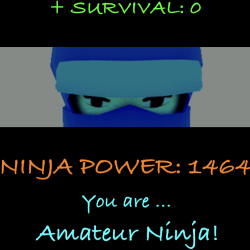 Ninja Power Test